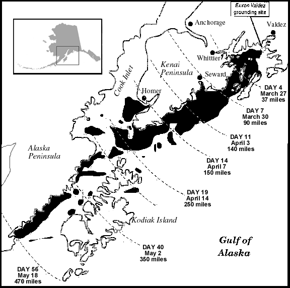 流出した原油の広がり。2週間後には150マイル(240km)、40日後には350マイル(560km)に達している