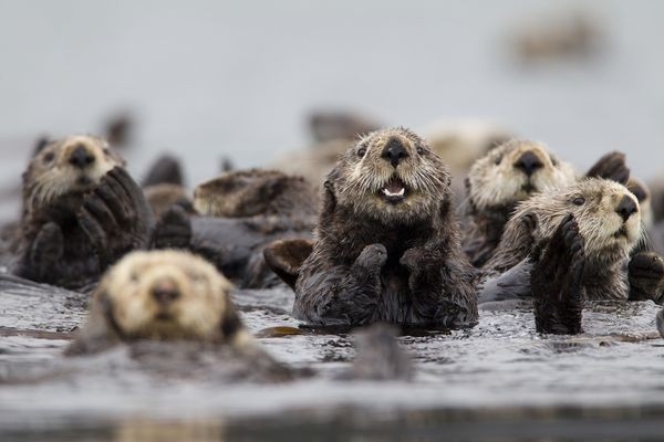 Photograph by Roy Toft, National Geographic Creative