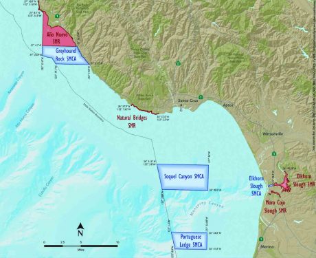 サンタクルーズ郡の海洋保護区　Image: California Marine Sanctuary Foundation