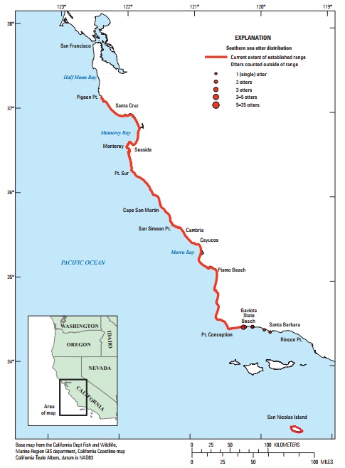 図1:カリフォルニアラッコのカリフォルニア本土中央沿岸部およびサンニコラス島における分布 2017年。