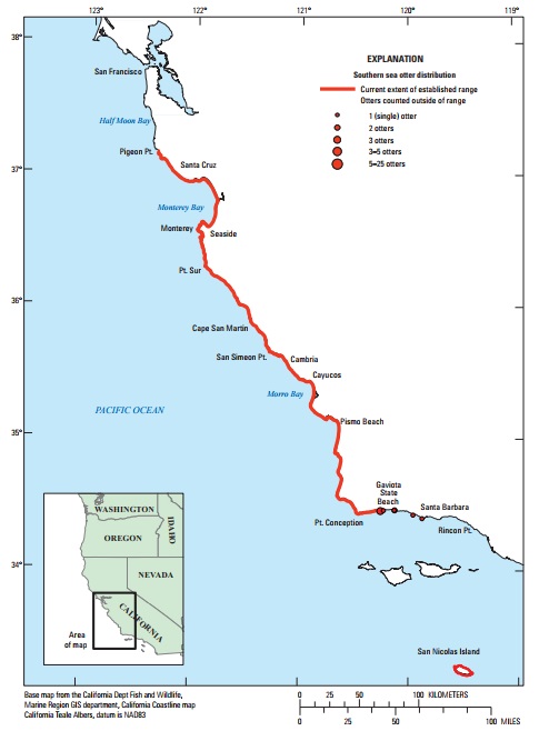 図1：カリフォルニアラッコのカリフォルニア本土中央沿岸部およびサンニコラス島における分布　2017年。