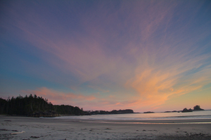 カルバート島の夕暮れPhoto by Monterey Bay Aquarium/Jessica Fujii