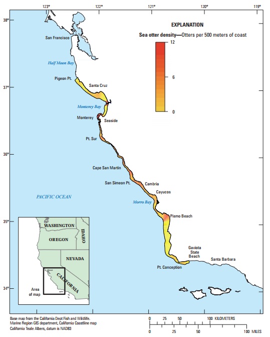図4:カリフォルニア本土中央沿岸部におけるカリフォルニアラッコの地域ごとの個体密度のバリエーション(沿岸500メートルあたりのラッコの数)。サンニコラス島の空間的に明白な分析が現在おこなわれていないため、サンニコラス島のデータは示されていない。
