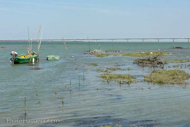 Sortie du port vers le pont de l'île d'Oléron