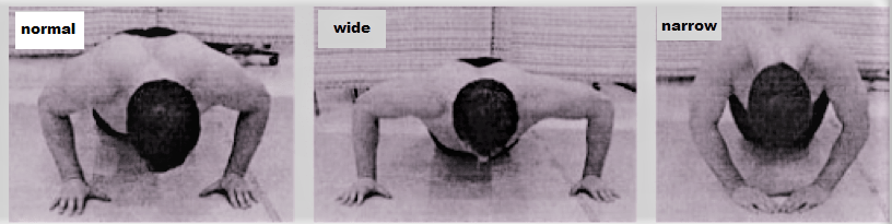 normal, wide, and narrow push-ups