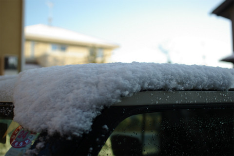 雪の積もった・・・どこかウキウキの一日。