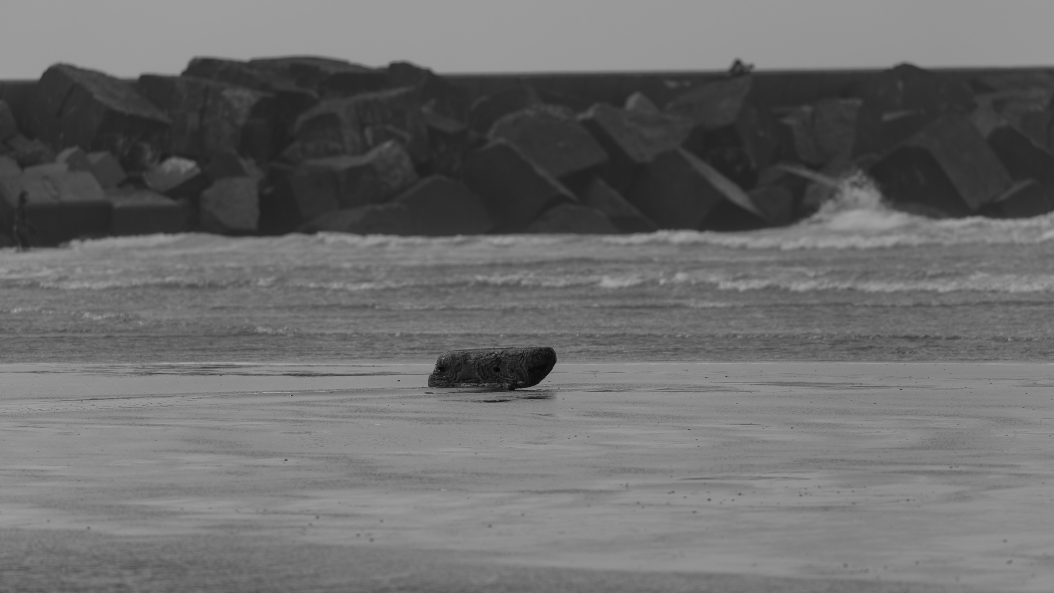 Windkracht 7 bft Wijk aan Zee 2023 STEVEN VANDERGEEST Photography