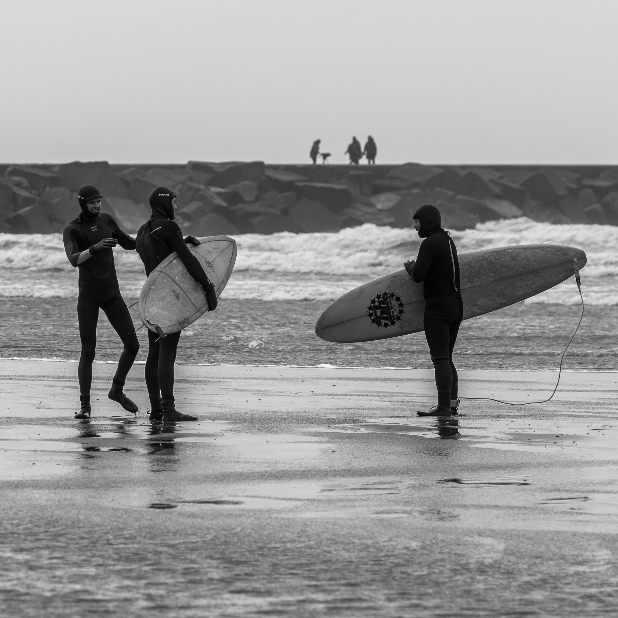 Windkracht 7 bft Wijk aan Zee 2023 STEVEN VANDERGEEST Photography