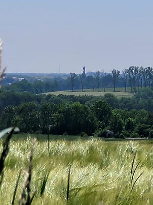 Je me déplace dans toute la Wallonie 