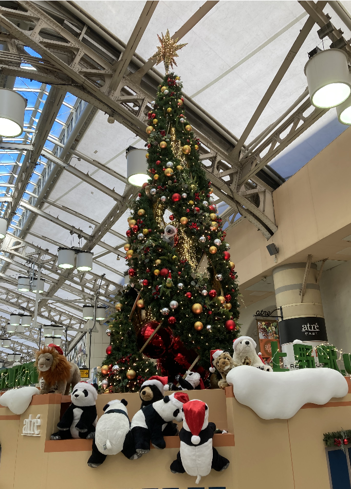 Merry Christmas！