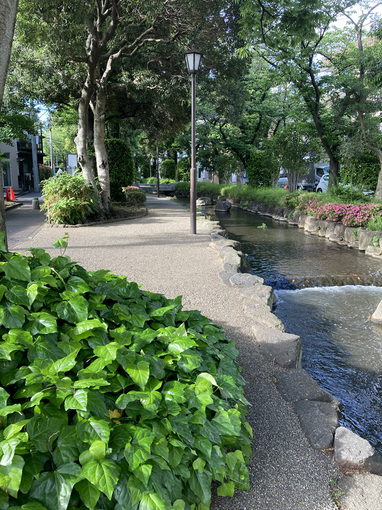 親水緑道（江戸川区）