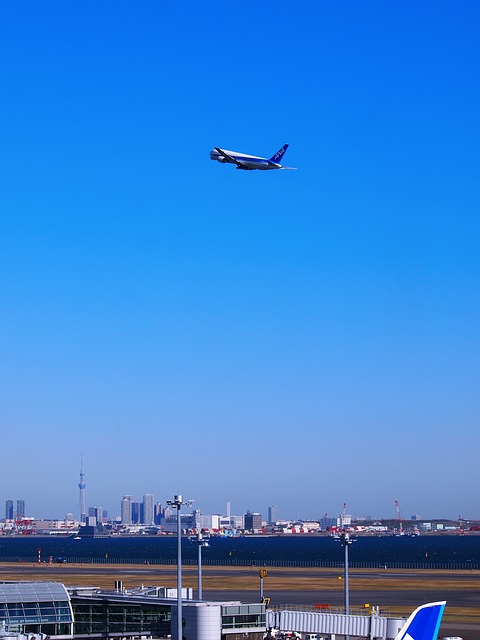 見上げてみたら上空を旅客機が飛んでいました