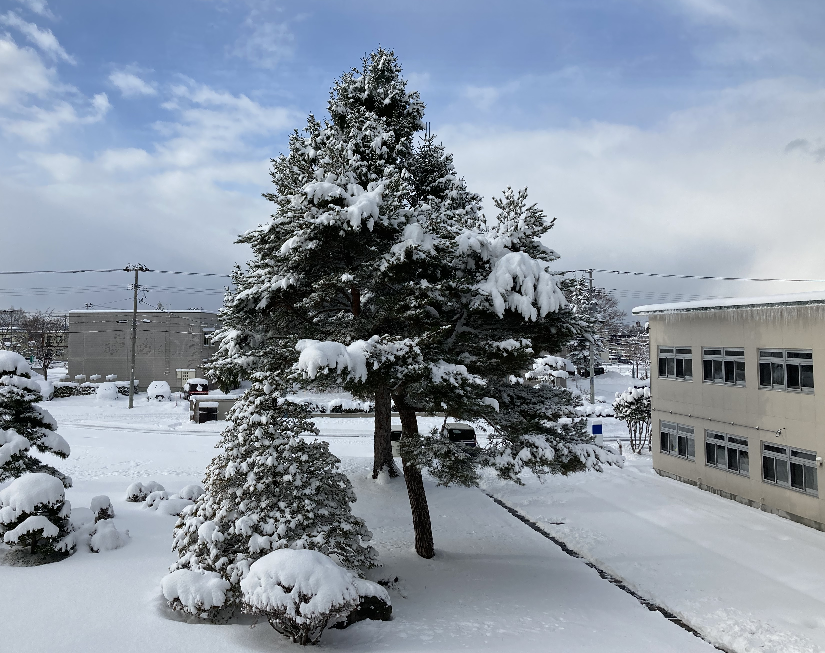 雪景色（青森市）