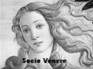 Socio Venere
