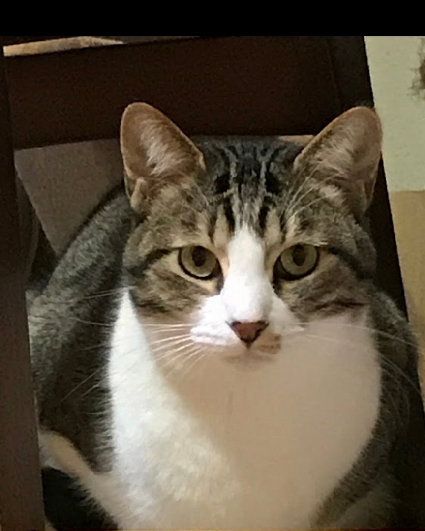 ゆきね