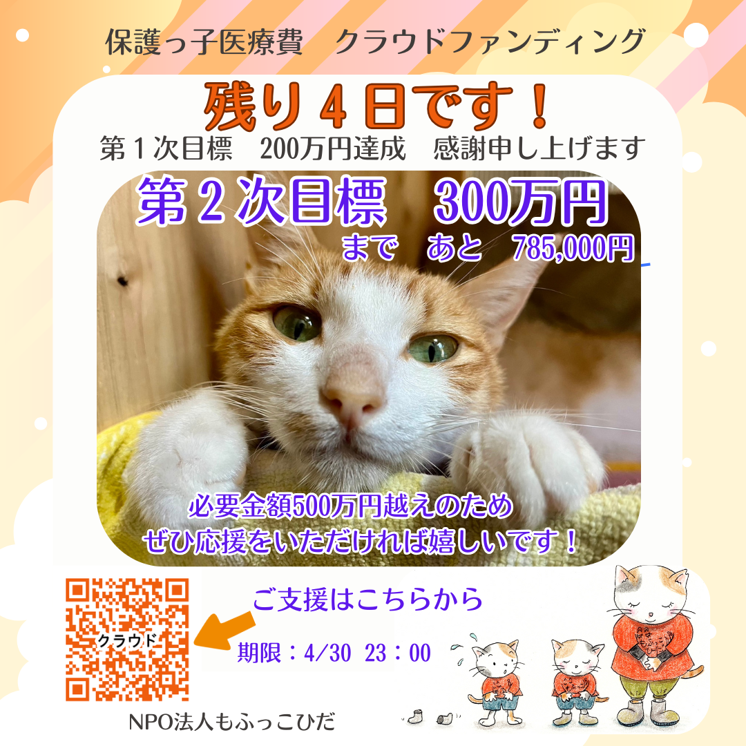 ☆残り4日になりました！！