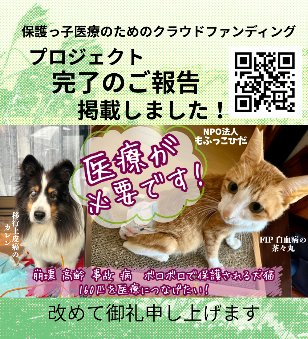 【プロジェクト終了ご報告】