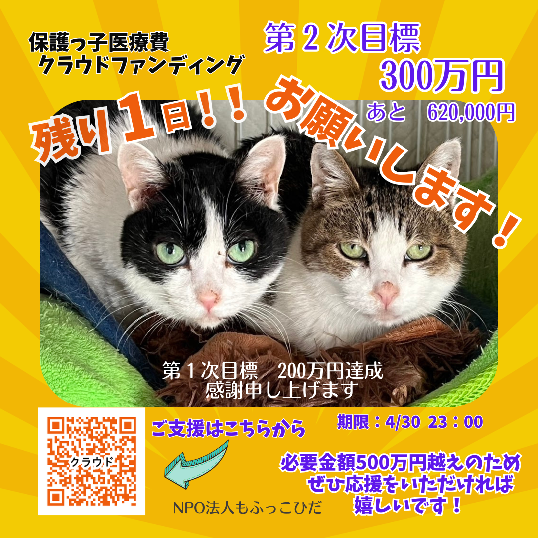 ☆いよいよ残り１日になりました☆
