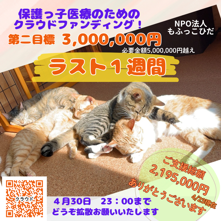 残り1週間になりました！
