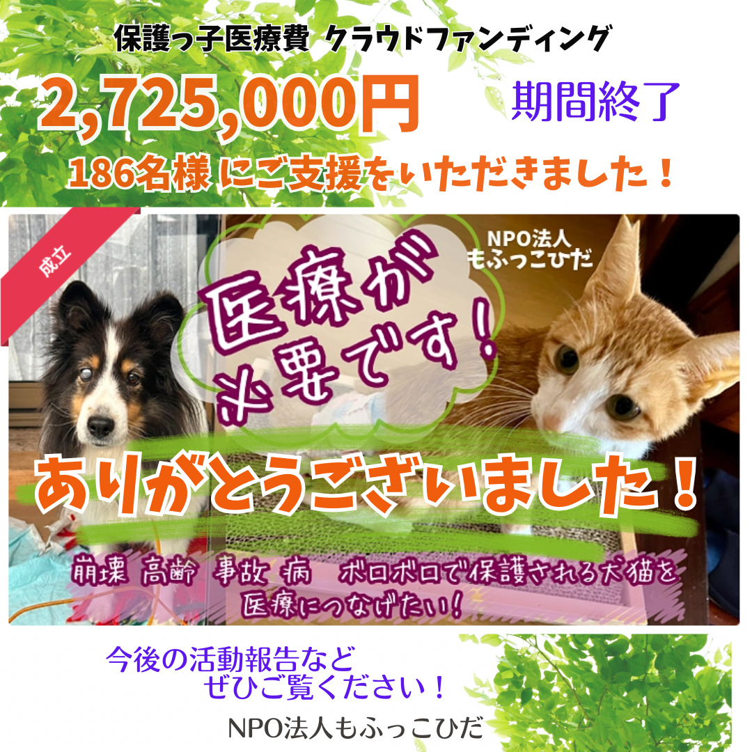 ☆応援ありがとうございました☆