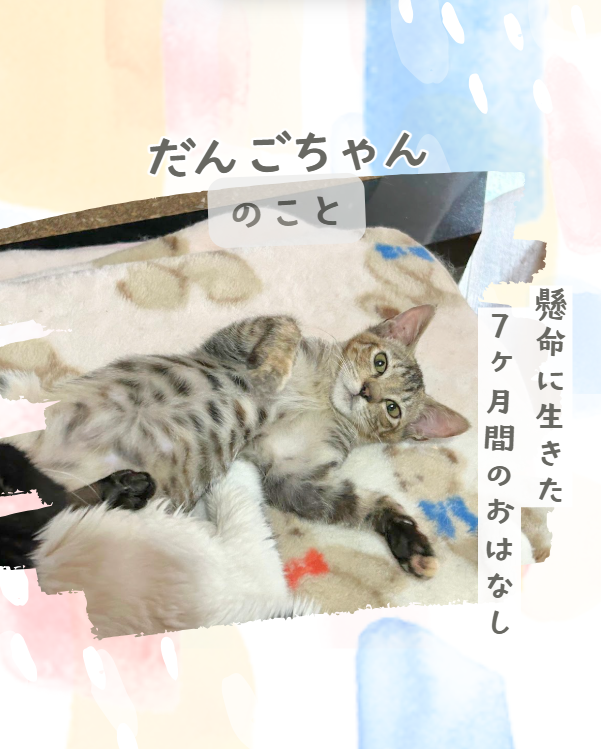 だんごちゃんのお話し