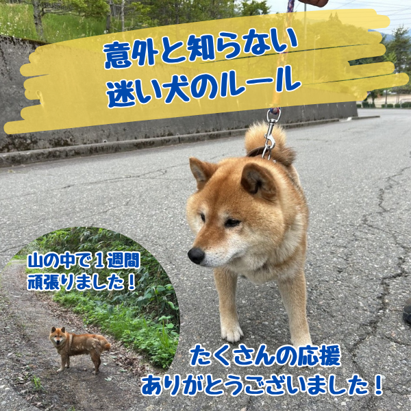 §ワンコの大切なお話§
