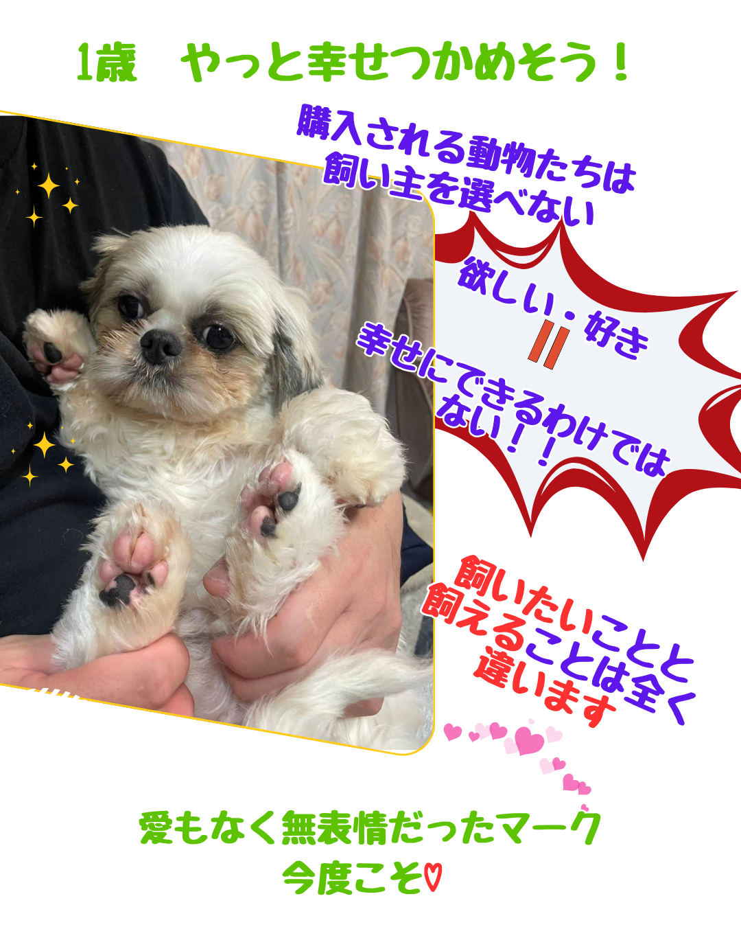 §１月の活動報告をアップしました