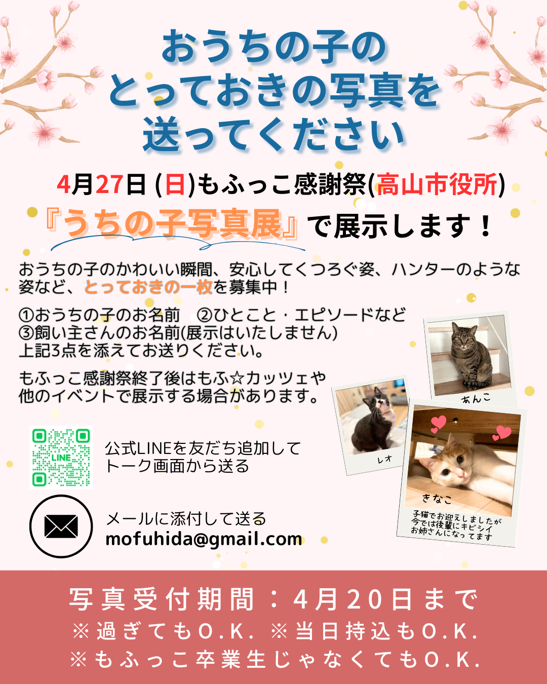 ★おうちの子のとっておきの写真を送ってください★　