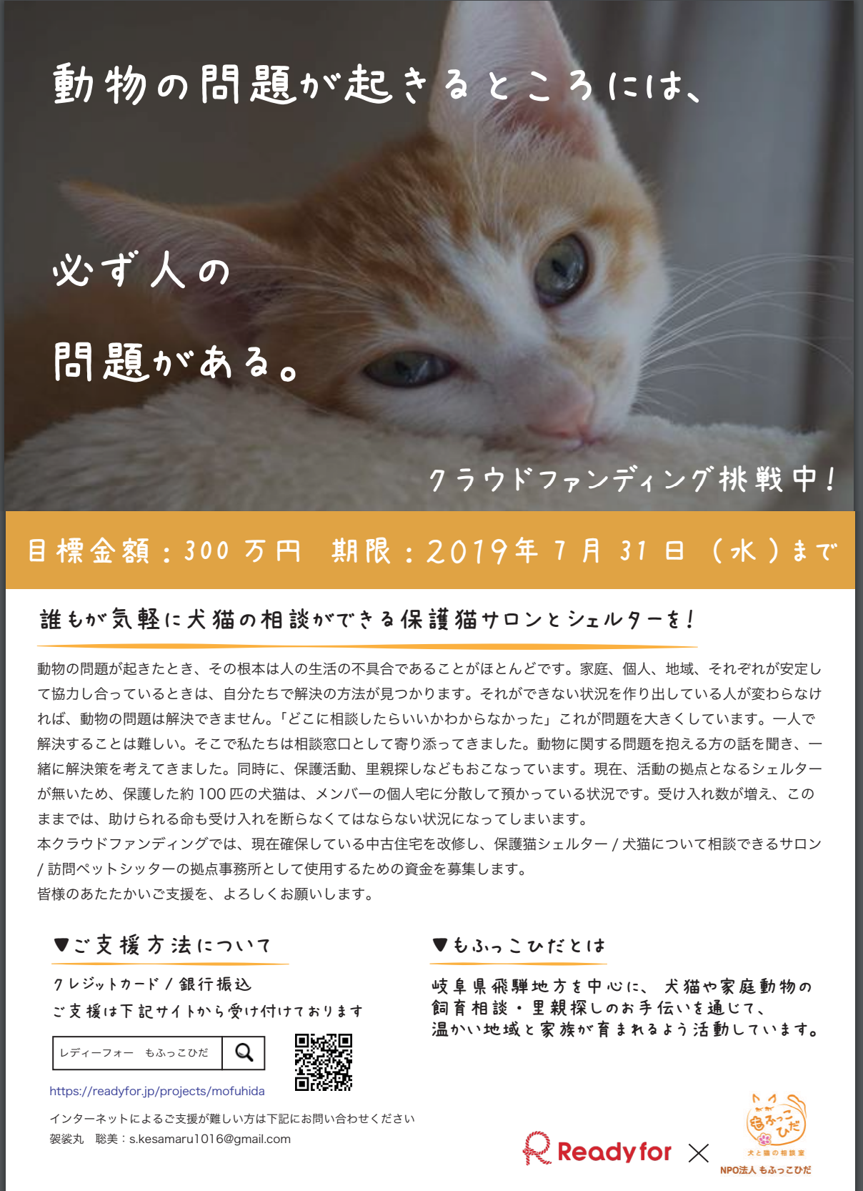 Netyasun 荒川 農園 猫 Netyasun 荒川 農園 猫