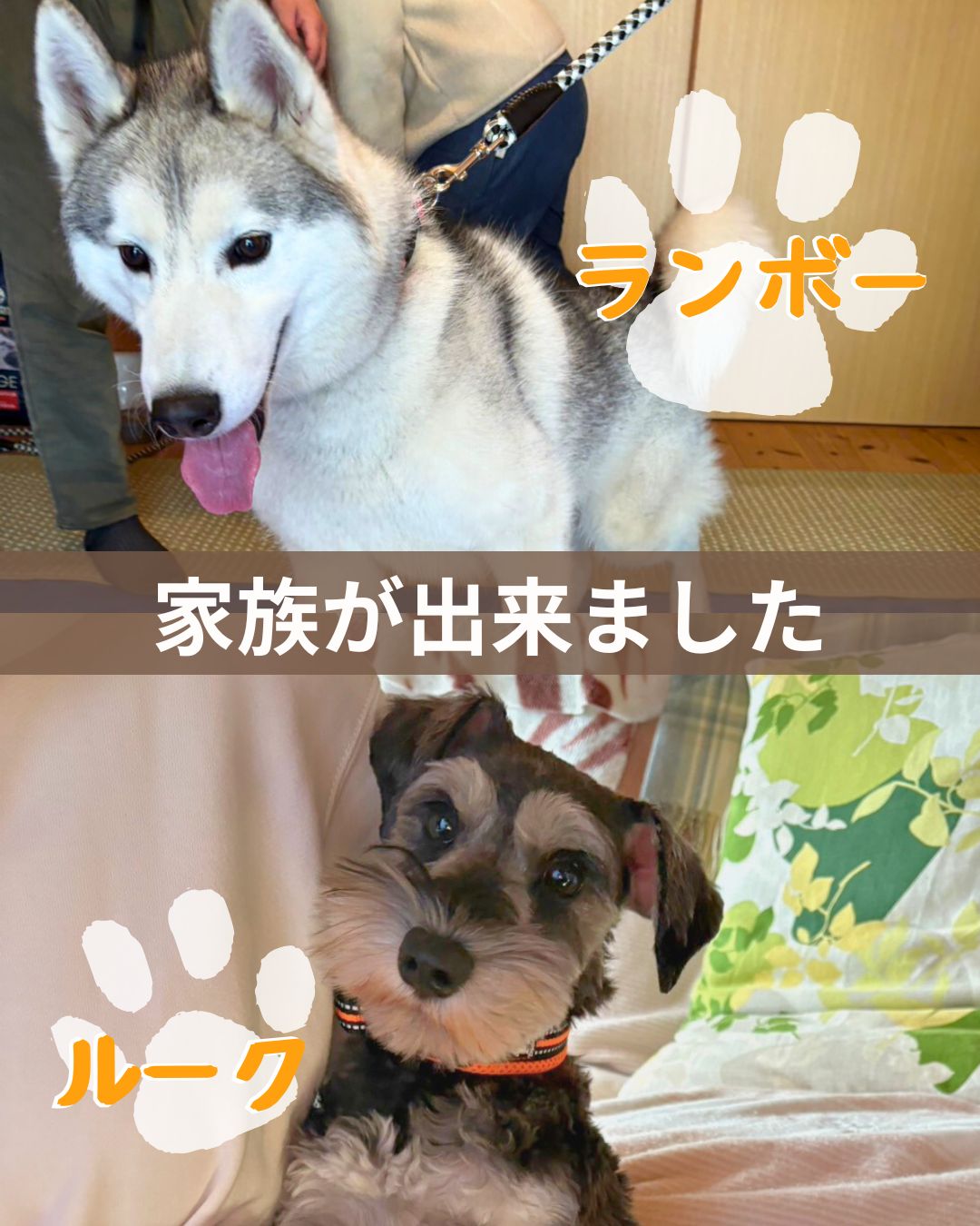 ランボー・ルークの幸せご報告♡