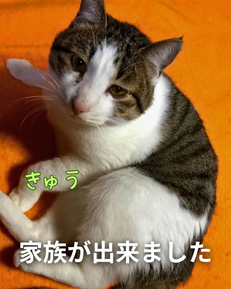 きゅう　幸せご報告♡