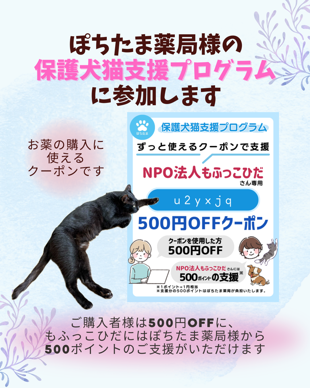 保護犬猫支援プログラムに参加します！