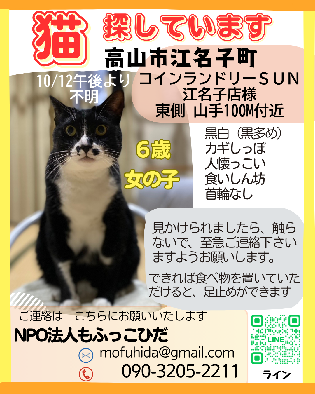 無事に帰ることができました！【緊急　江名子町　猫探しています！】