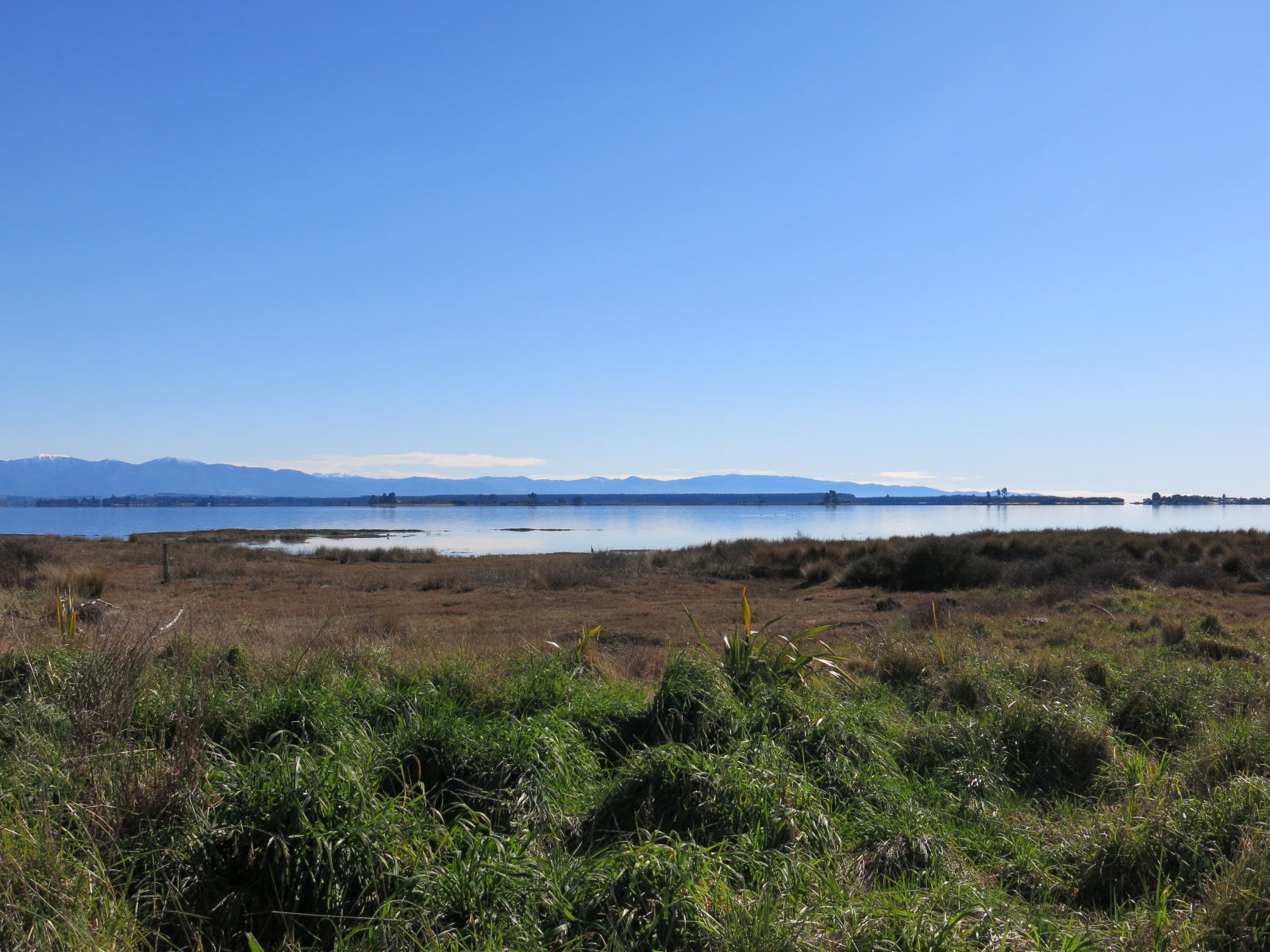 NZ ネルソンについて さくらB&Bより Sakura B & B