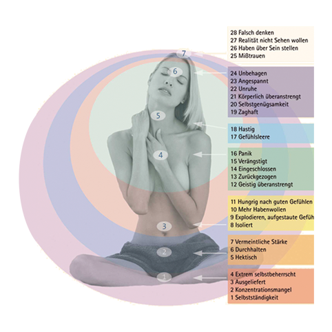 PSE Psychosomatische Energetik Theresia Maria Vogl Harrling Zandt