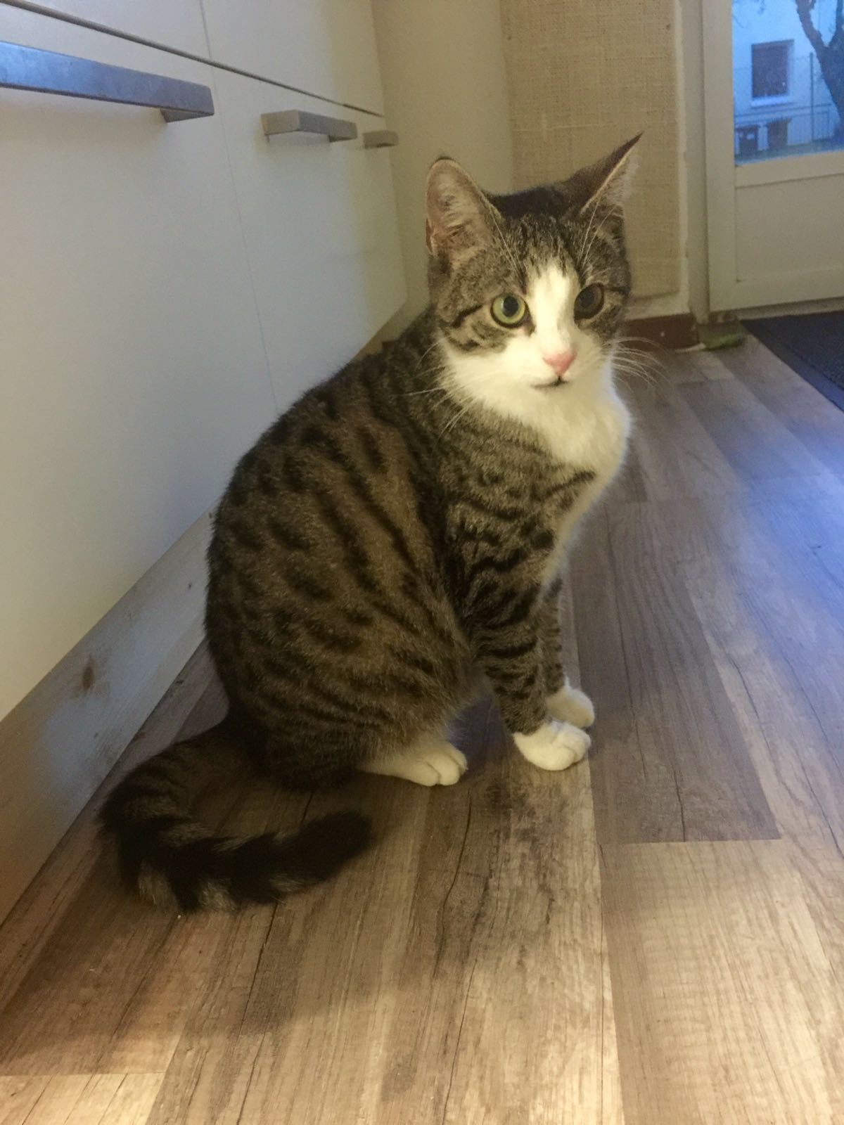 Nala