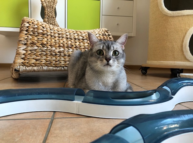 Leo