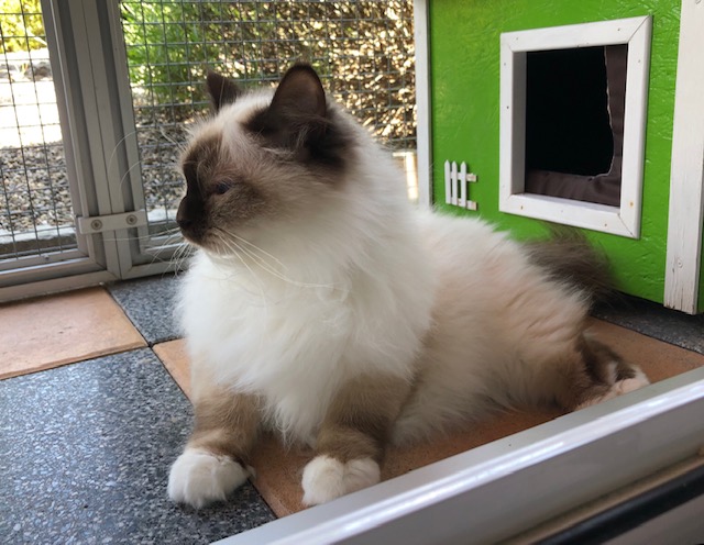Sam