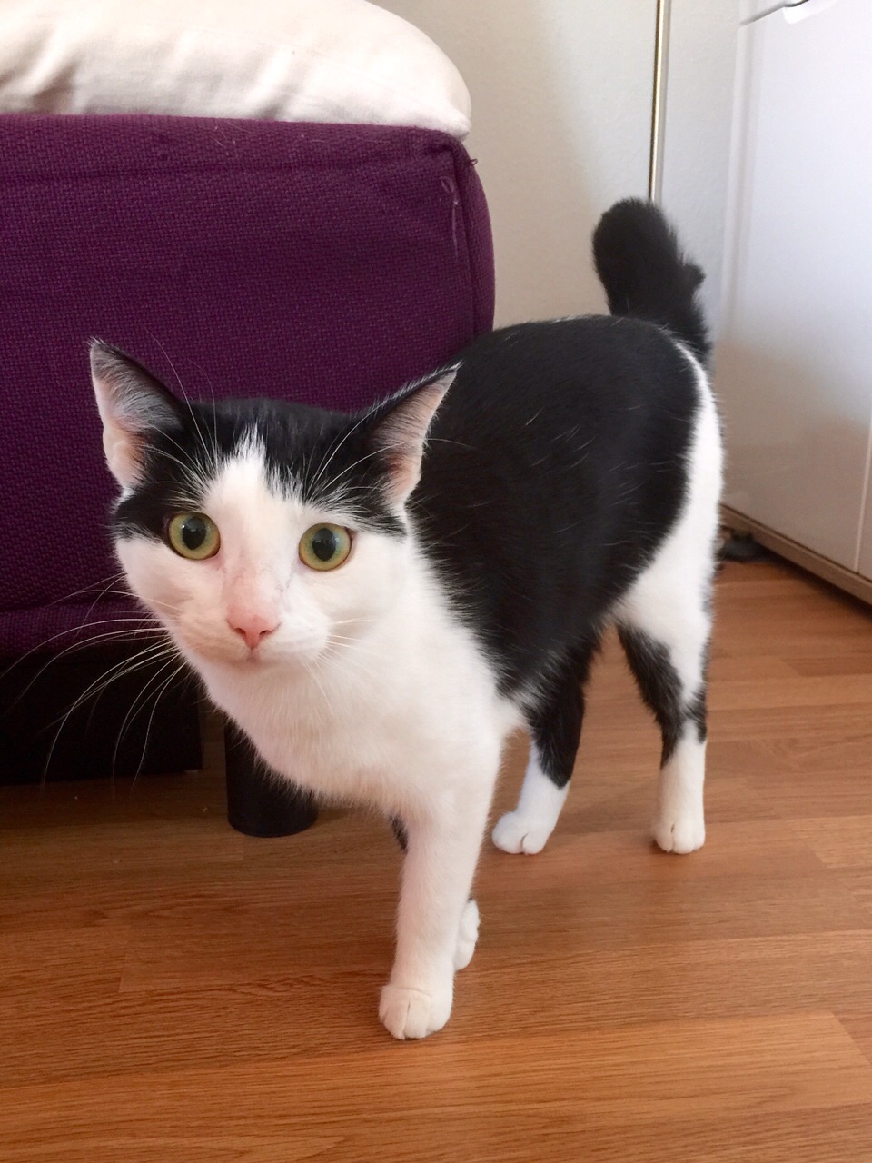 Luna