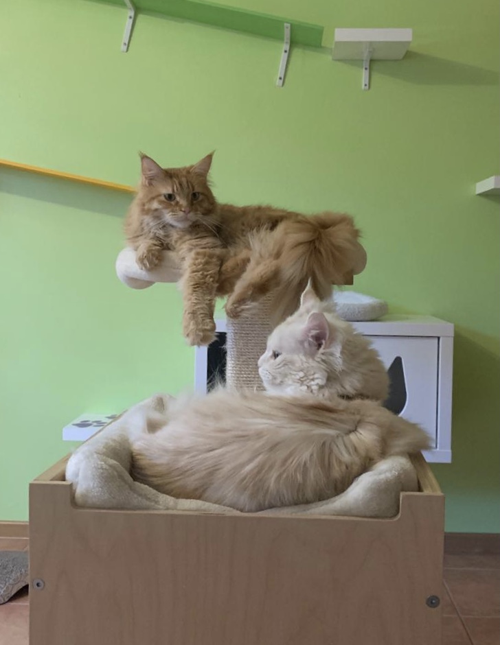 Freddi und Frida
