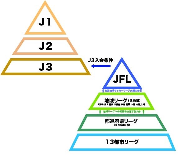 組織