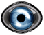 Voir