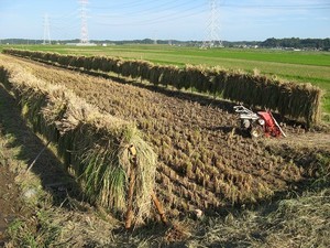 「田んぼと畑の耕育教室」を開催しています。