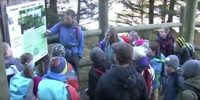 Waldtag der Klasse 5b