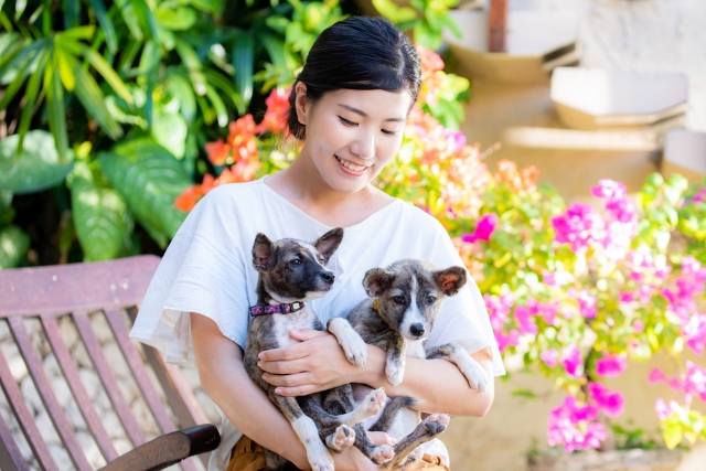 第一種動物取扱業と第二種動物取扱業の違いとは？🐶🐱