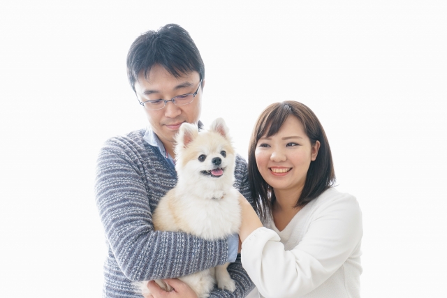 動物愛護管理法とは？初心者向け解説
