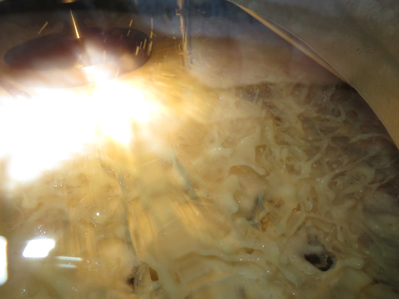 Wort Boiling Internal Craft Beer Technologien