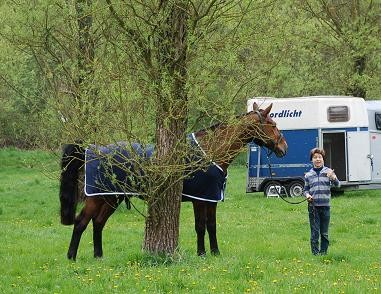 ...sowie eine gefüllte Blase nach reichem Grasgenuss im Wege.