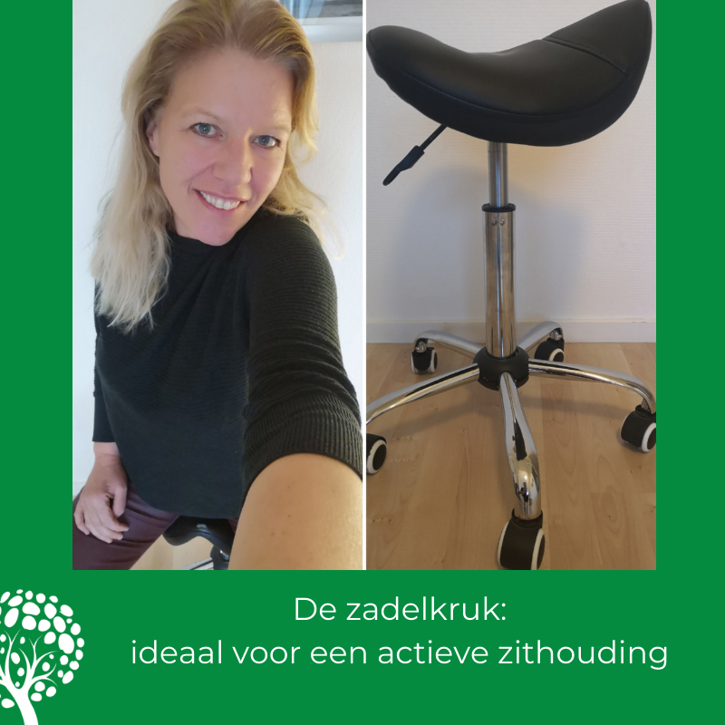 Blog 42: De zadelkruk: een actieve zithouding