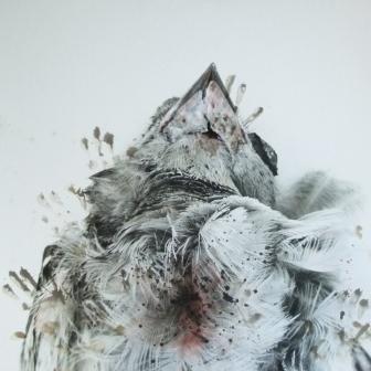 MARIELIS SEYLER, Vogelkehle, aus natura naturata, 1993, Fotoemulsion auf Barytpapier, Leimfarbe, 75x98,5cm